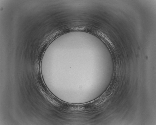 X0000087620541200704271139