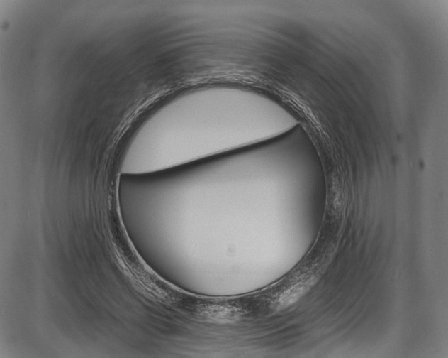 X0000087620542200704271139