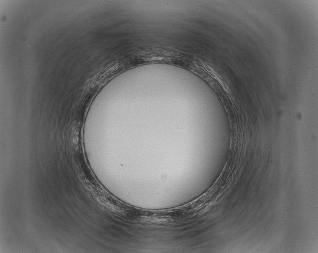 X0000087620545200704271139