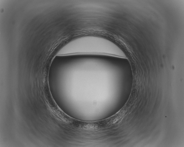 X0000087620546200704271139