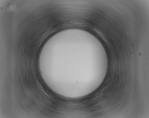 X0000087620548200704271139