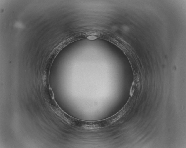 X0000087620556200704271140
