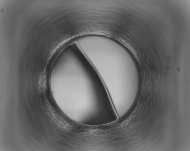 X0000087620584200704271139