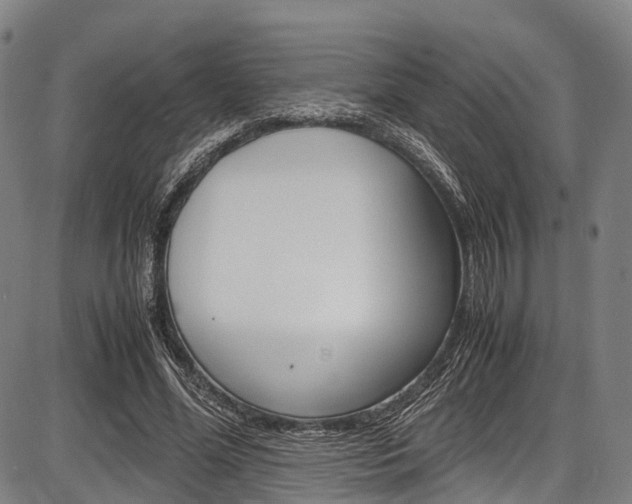 X0000087620588200704271139