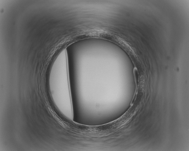 X0000087620589200704271139