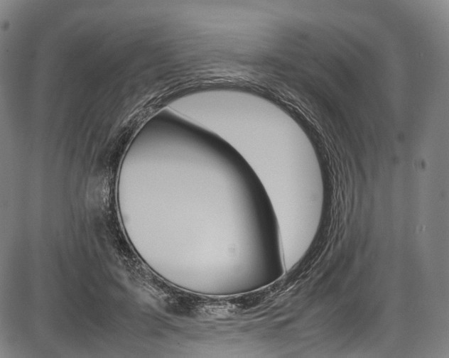 X0000087620595200704271139