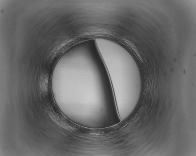 X0000087620596200704271139