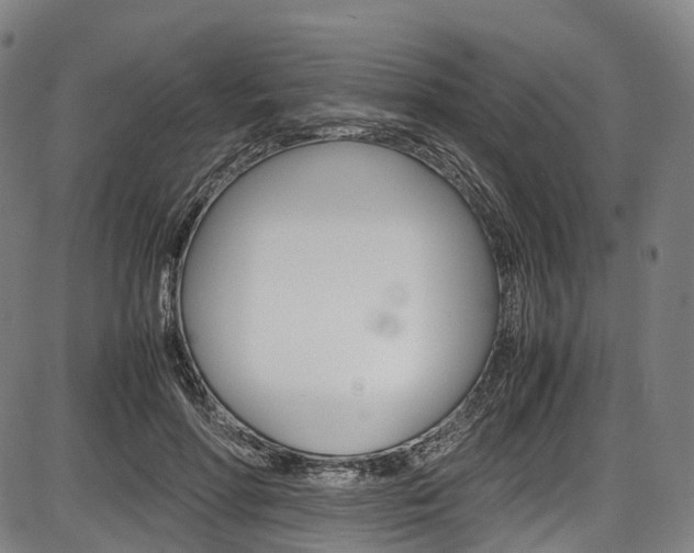 X0000087620598200704271139
