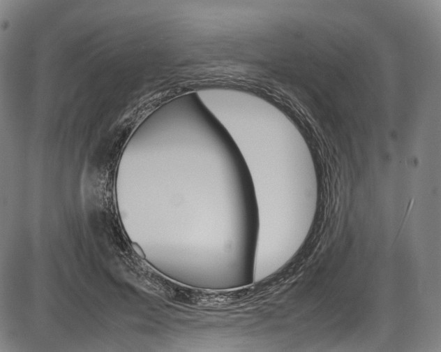 X0000087620599200704271139