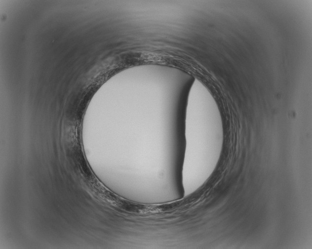 X0000087620603200704271139