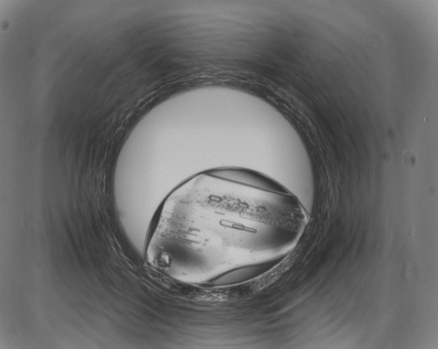X0000087620604200704271139
