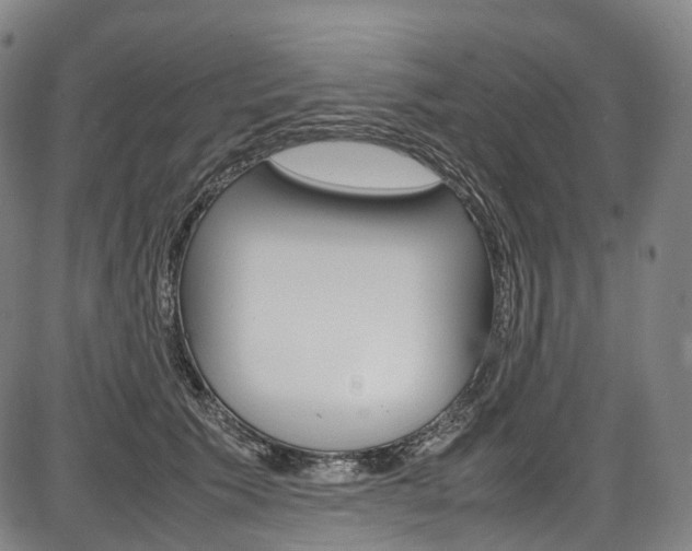 X0000087620609200704271139