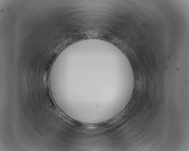 X0000087620610200704271139