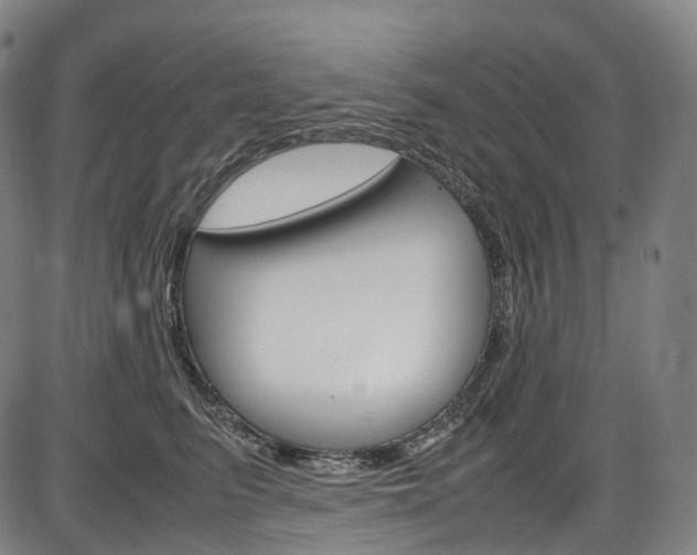 X0000087620615200704271138