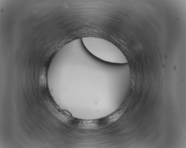 X0000087620622200704271138