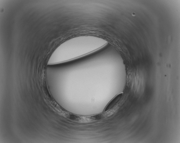 X0000087620623200704271138