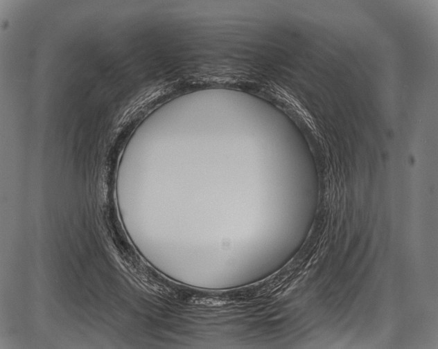 X0000087620635200704271138