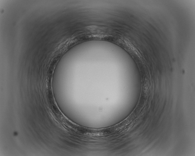 X0000087620639200704271138