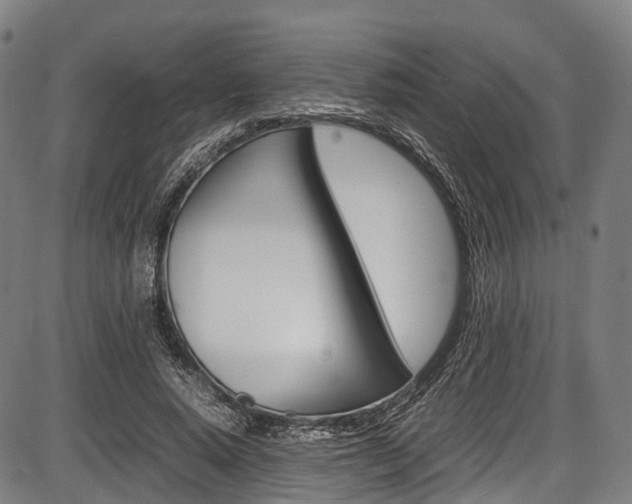 X0000087620640200704271138