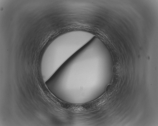 X0000087620642200704271138