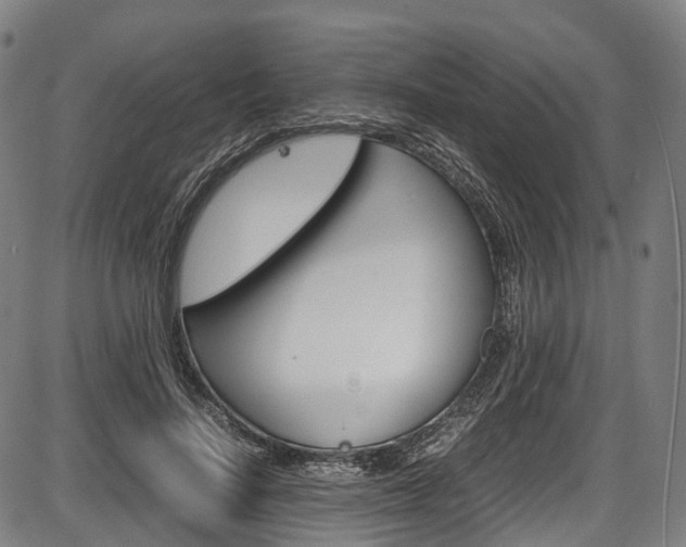 X0000087620644200704271138