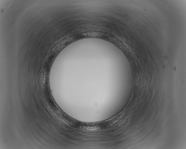X0000087620645200704271138