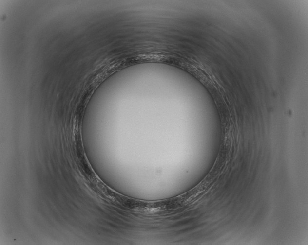 X0000087620647200704271138