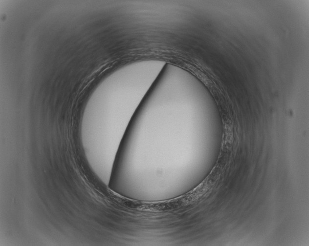 X0000087620648200704271138