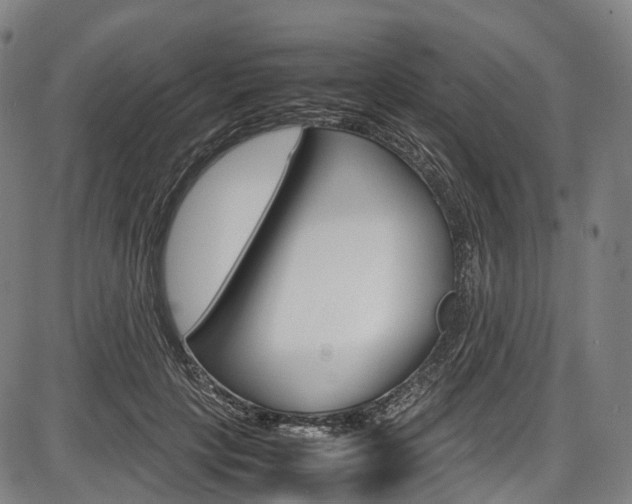 X0000087620649200704271138
