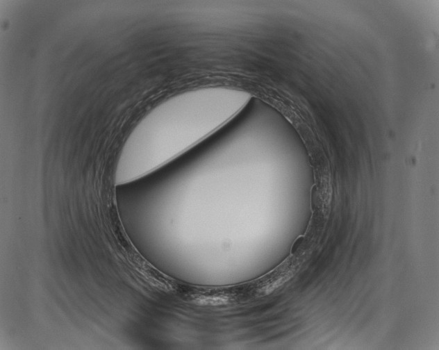 X0000087620653200704271138