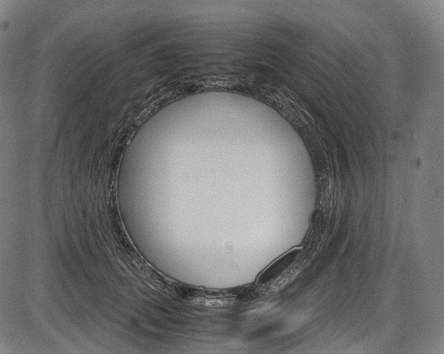 X0000087620655200704271138