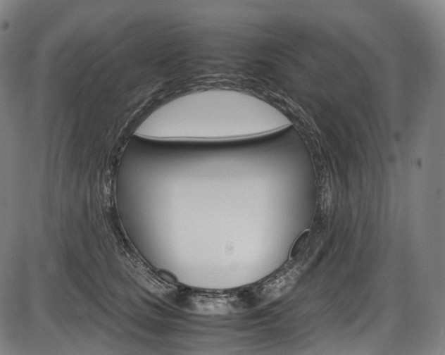 X0000087620661200704271138