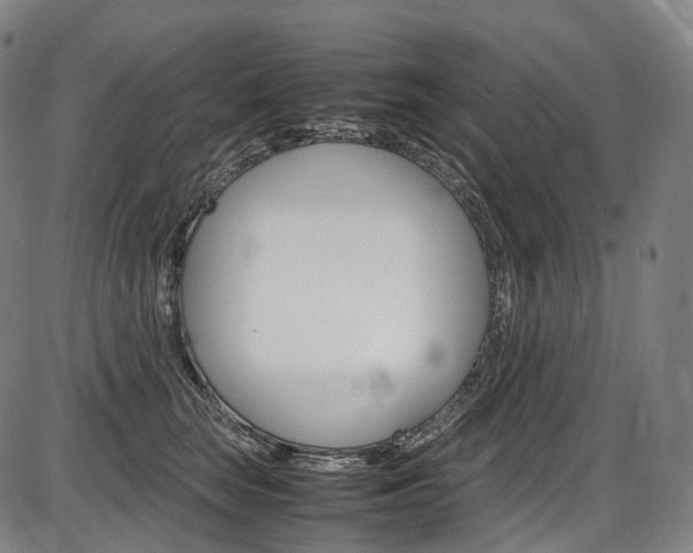 X0000087620663200704271138