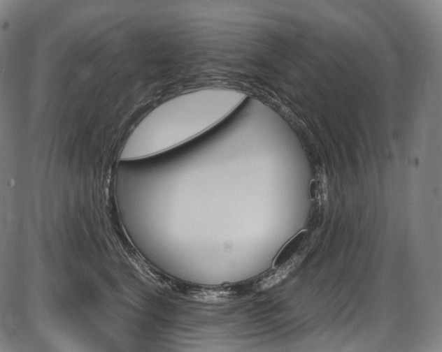 X0000087620664200704271138