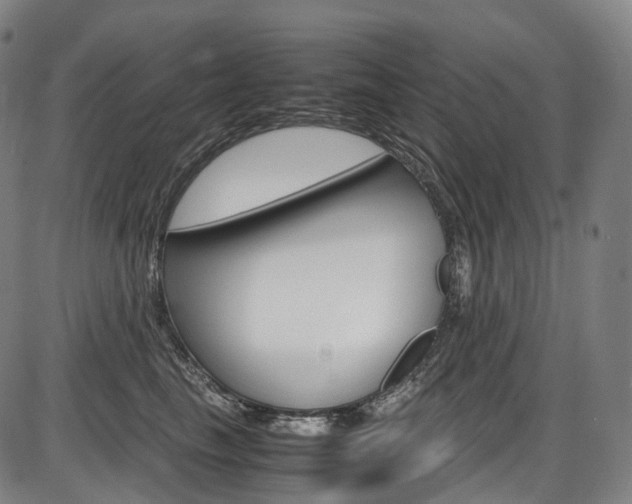 X0000087620665200704271138
