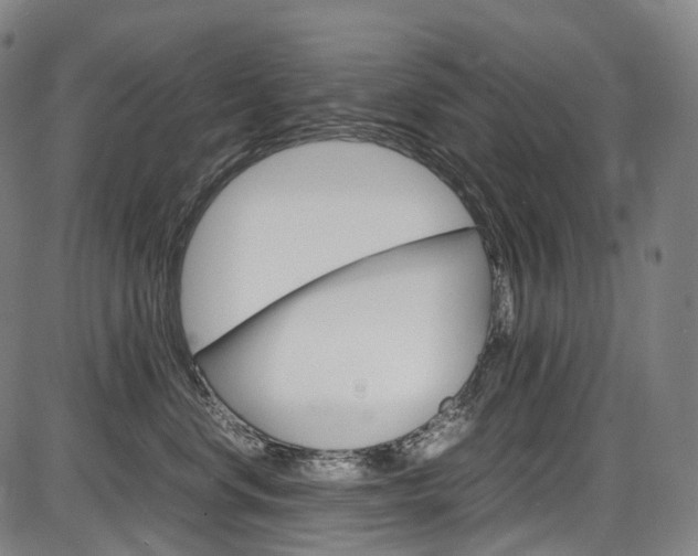 X0000087620668200704271138