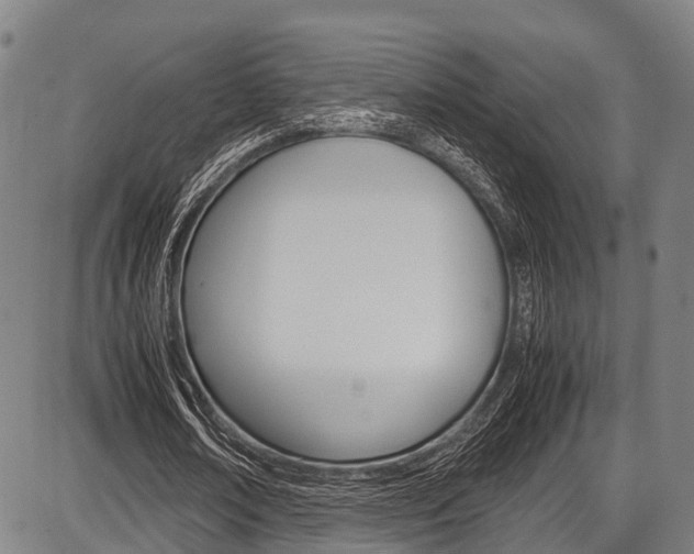 X0000087620674200704271137
