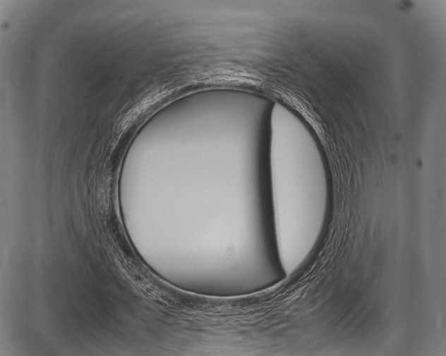 X0000087620675200704271137