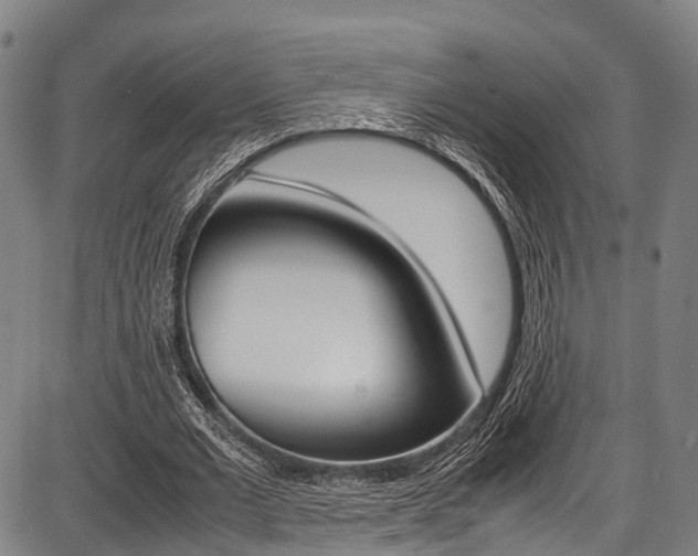 X0000087620677200704271137