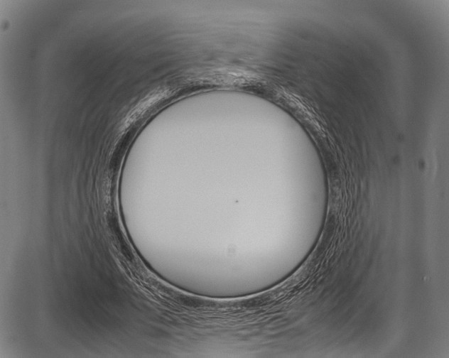 X0000087620679200704271137
