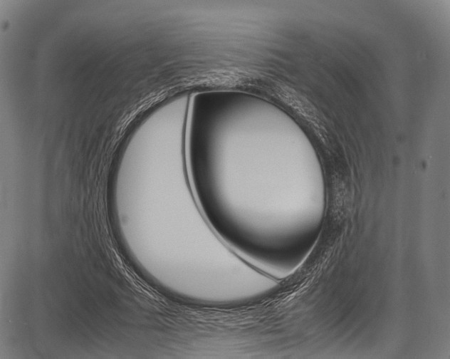 X0000087620681200704271137