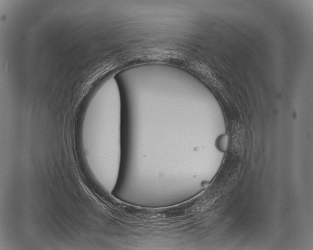 X0000087620683200704271137