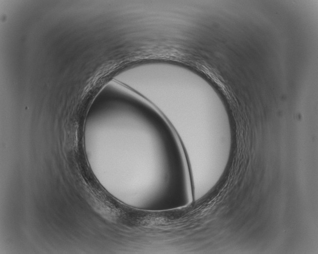 X0000087620685200704271137