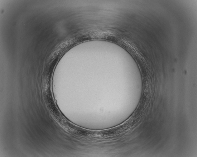 X0000087620687200704271137