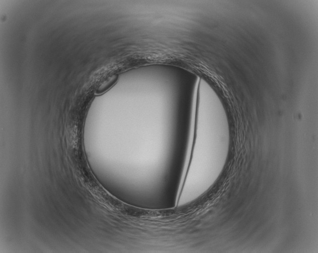 X0000087620689200704271137