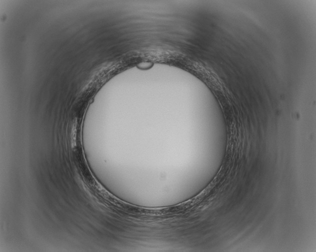 X0000087620694200704271137