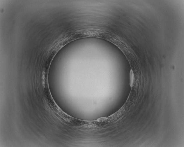 X0000087620696200704271137
