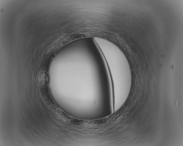X0000087620697200704271137