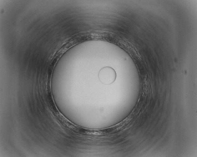 X0000087620698200704271137