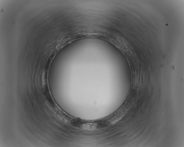 X0000087620700200704271137
